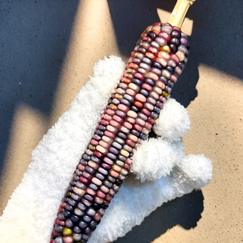 文玩玉米手把件，