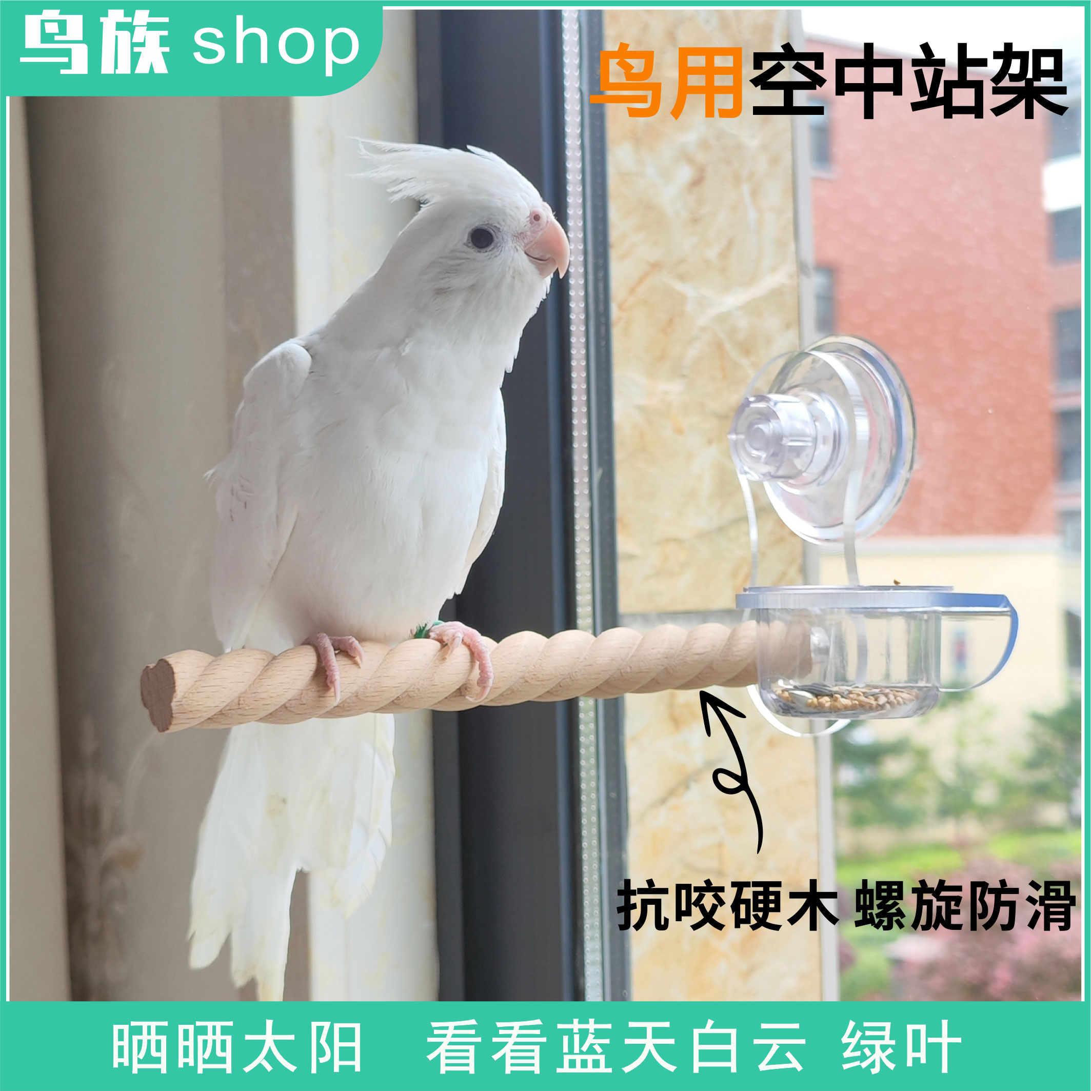 鹦鹉花椒木空中站架子吸盘站杆磨爪玄凤虎皮专用鸟用墙面玻璃站台