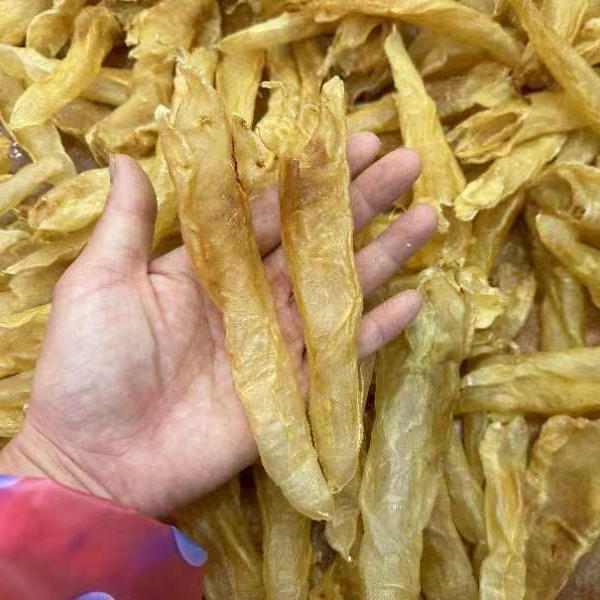 原色北海公胶筒日常滋补品海产干货鱼胶 花胶100-500g