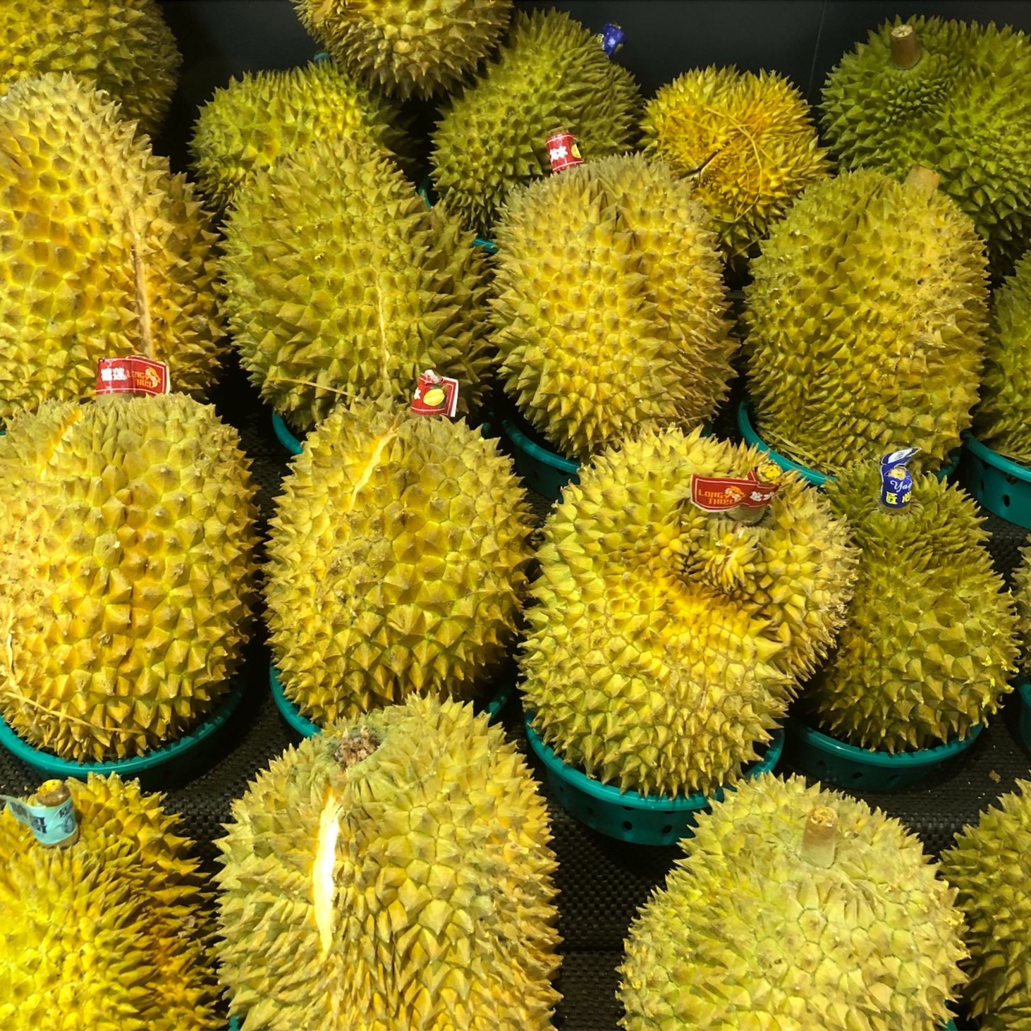榴莲