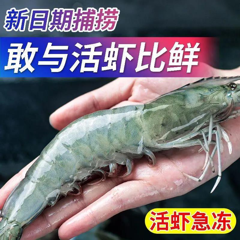 【超大超肥】特大虾鲜活新鲜冷冻虾子批发一整箱青虾基围虾海鲜海捕