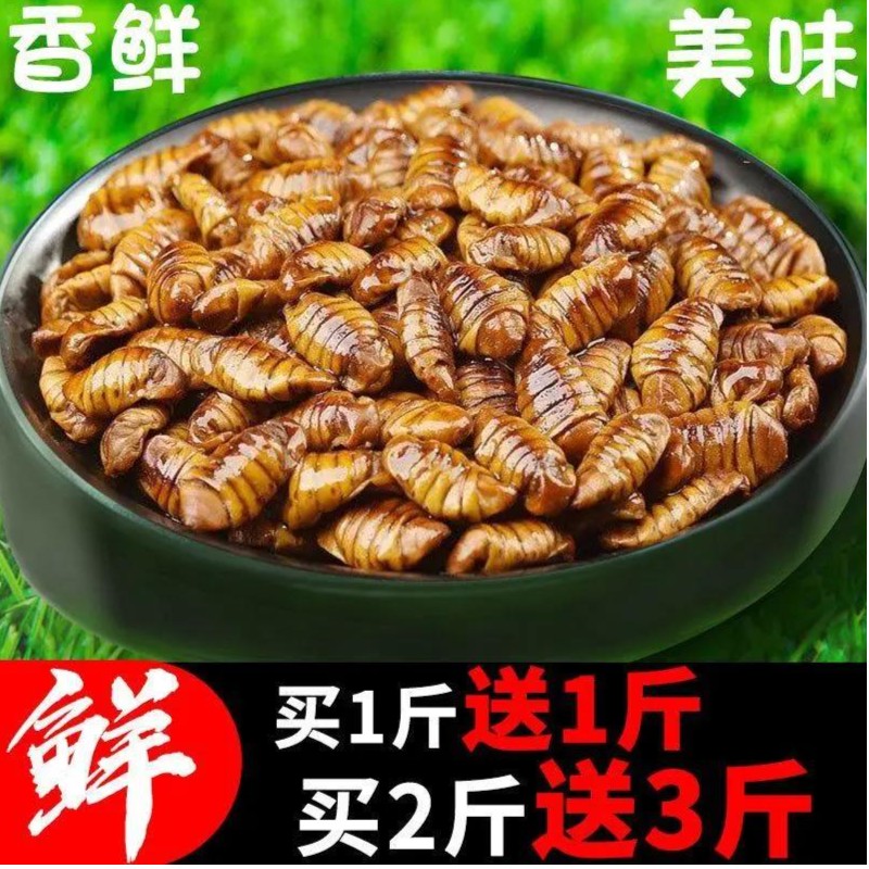 【买二斤送三斤】山东蚕蛹新鲜蝉蛹生鲜速冻茧蛹子特产桑蚕蛹精选