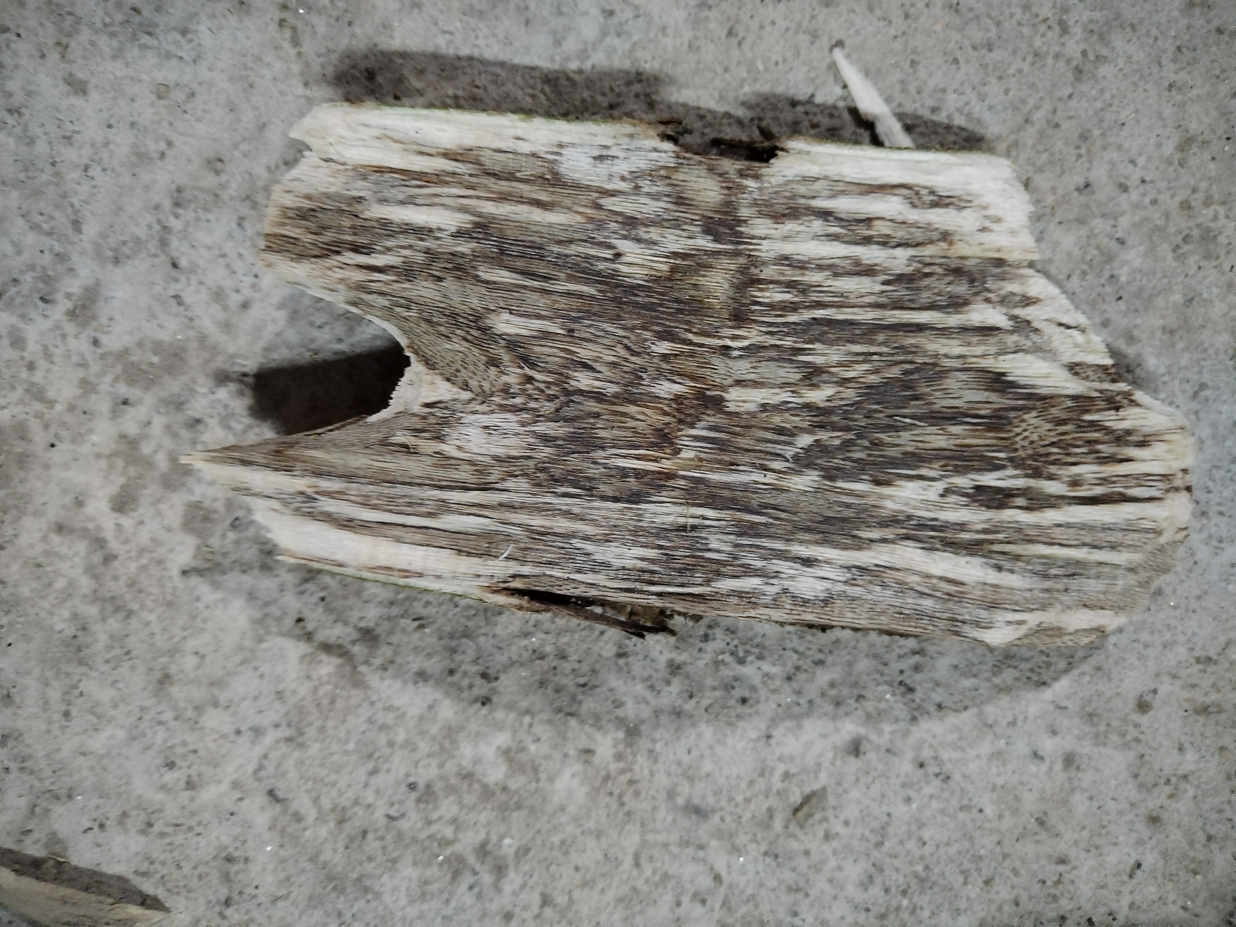 人工火哏香料：片香料：可打薄片，薰香原料