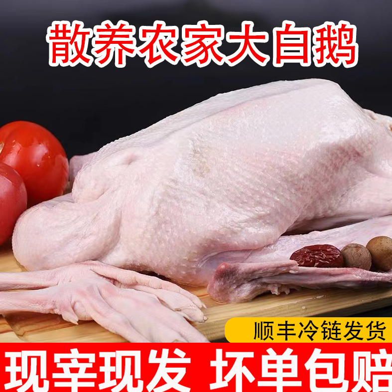 【买鹅送鸭】大白鹅净重5-6斤带 买大鹅送土鸭一只 大白鹅新鲜