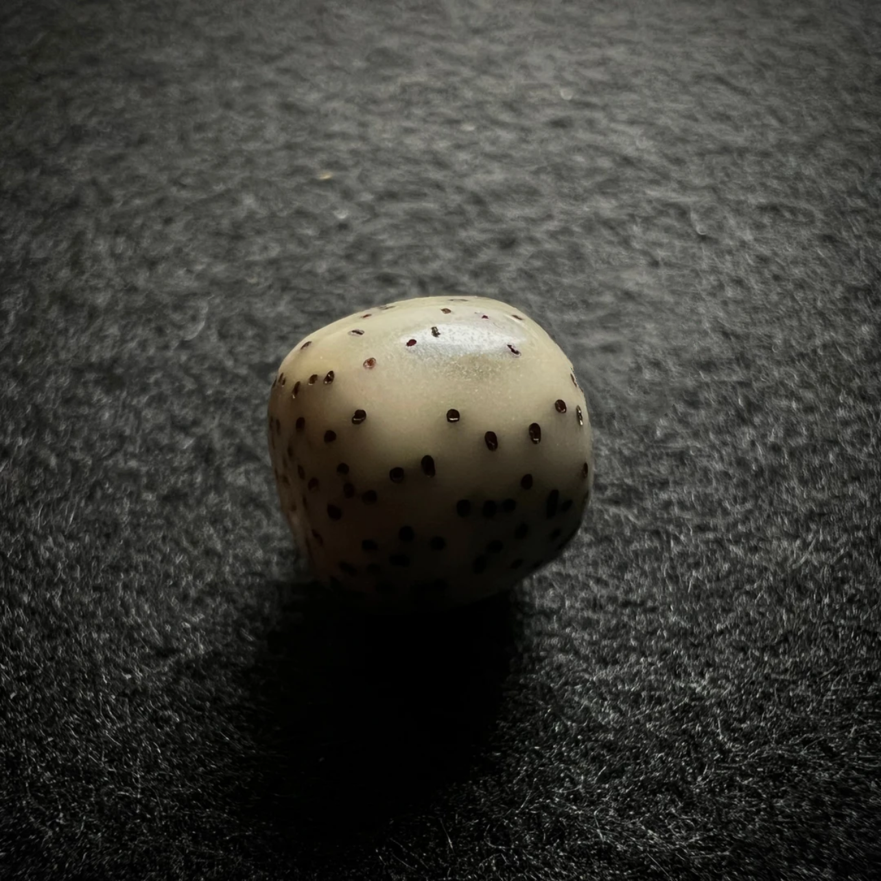 D23 星月菩提手串原生态