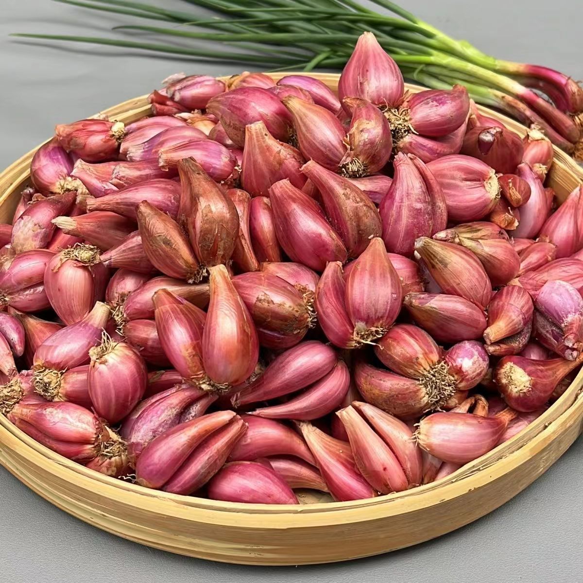 【可种可食】红葱头干葱头火葱正宗新鲜小香葱熬葱油特香可种植包邮