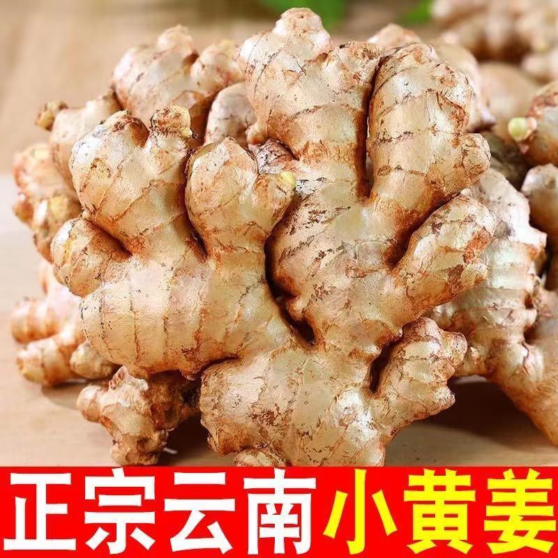 【辛辣浓郁】云南本地小黄姜现挖生姜老姜山地姜0.5--9斤食用坏包赔