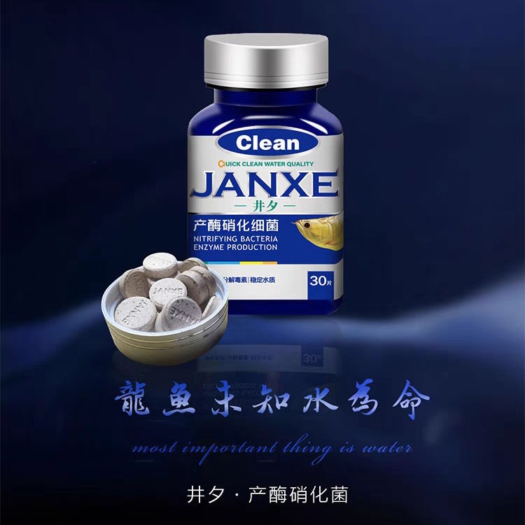 硝化细菌鱼缸用水族净水剂片剂硝化细菌活菌观赏鱼用井夕硝化细菌