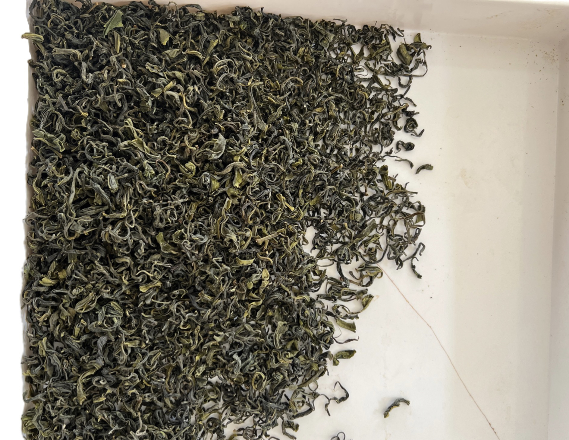 山东日照绿茶板栗香清香