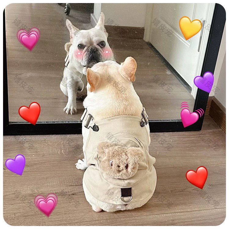 春夏新款法斗巴哥斗牛犬衣服博美可爱小熊背包肩带背心卫衣搞笑潮