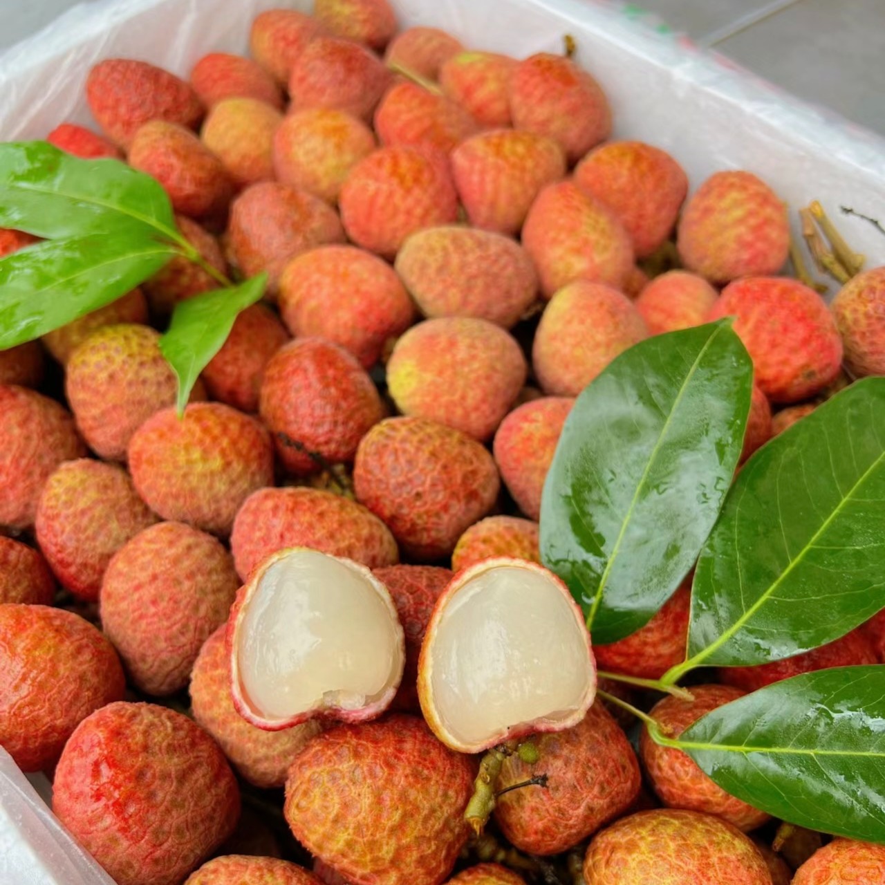 桂味荔枝500g广西壮族自治区