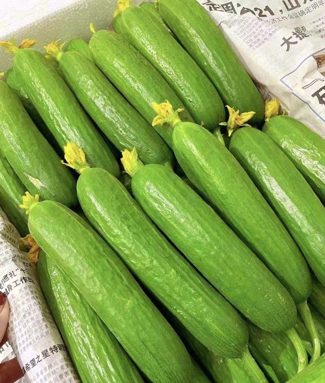 水果黄瓜（500g）黄瓜同城送黄瓜同城配