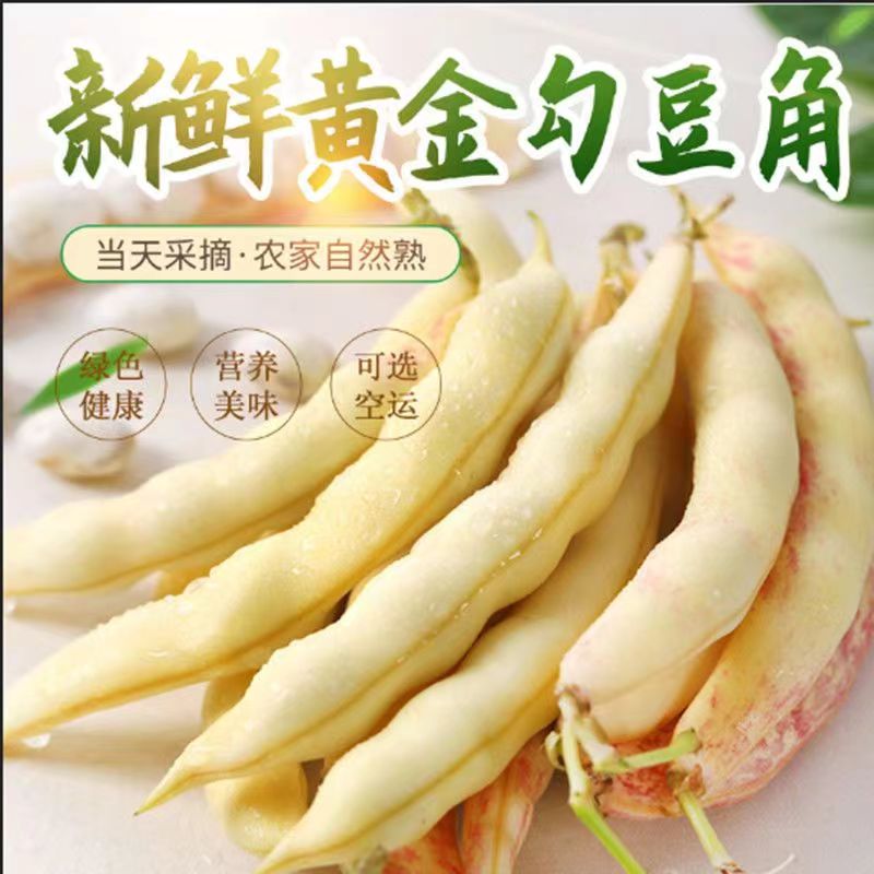 东北特产新鲜采摘黄金勾豆角保鲜发货现摘现发勾勾黄豆角顺丰包邮