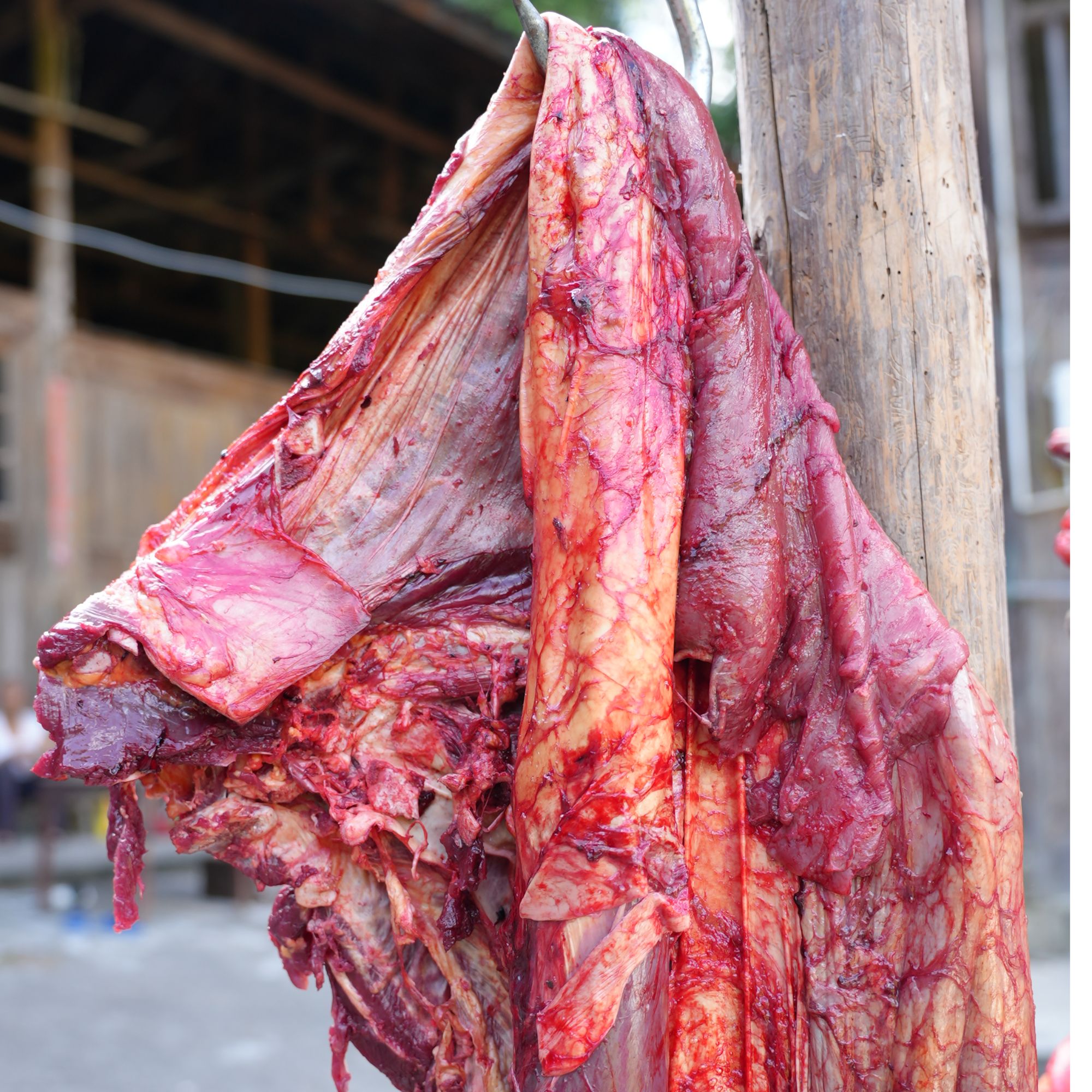 [顺丰]  湘西小黄牛.牛腩链接 (一物一拍不支持7天无理由退货)