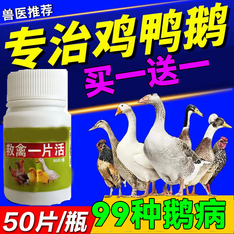 鸡鸭专用治鸡鸭鹅感冒鸡瘟发烧流感拉稀气喘痢疾抗病毒禽类急救片