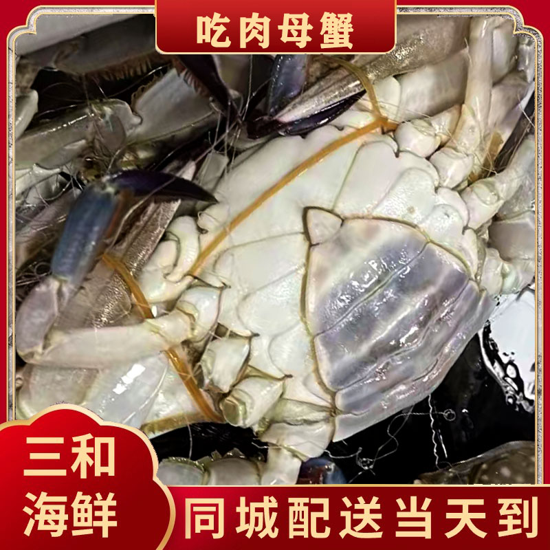 【保鲜不保活】天津肉母蟹梭子蟹 每斤2-5只 每只2-5两 断氧残蟹