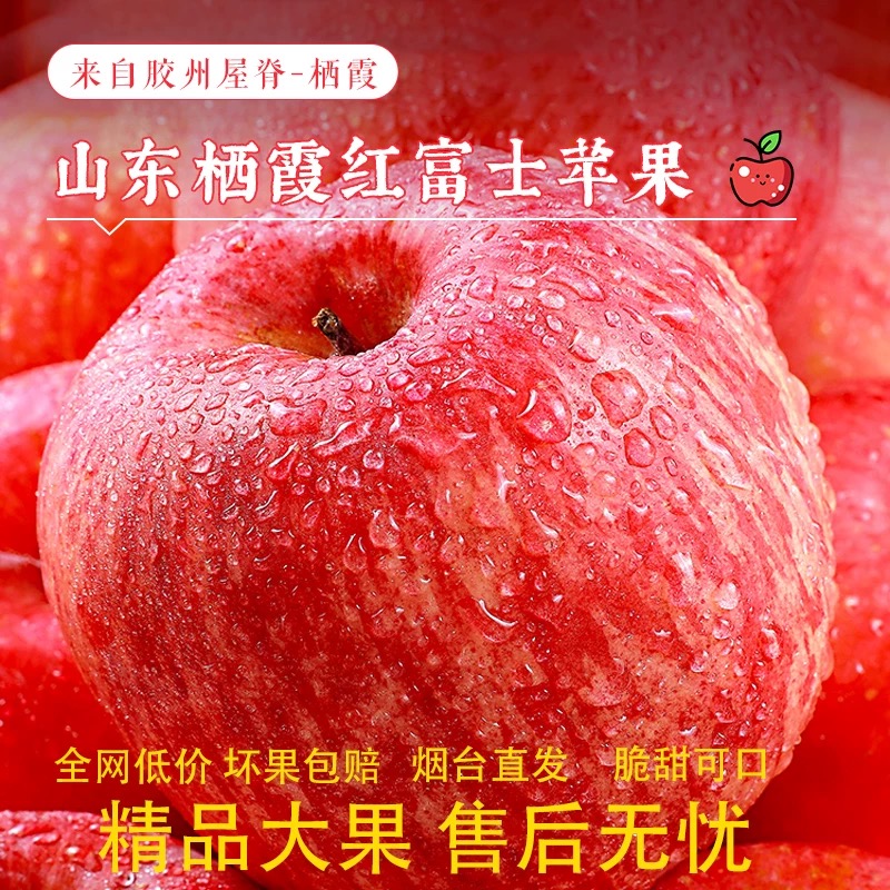 （买5斤送5斤）正宗烟台苹果栖霞红富士丑苹果脆甜多汁自然无打蜡