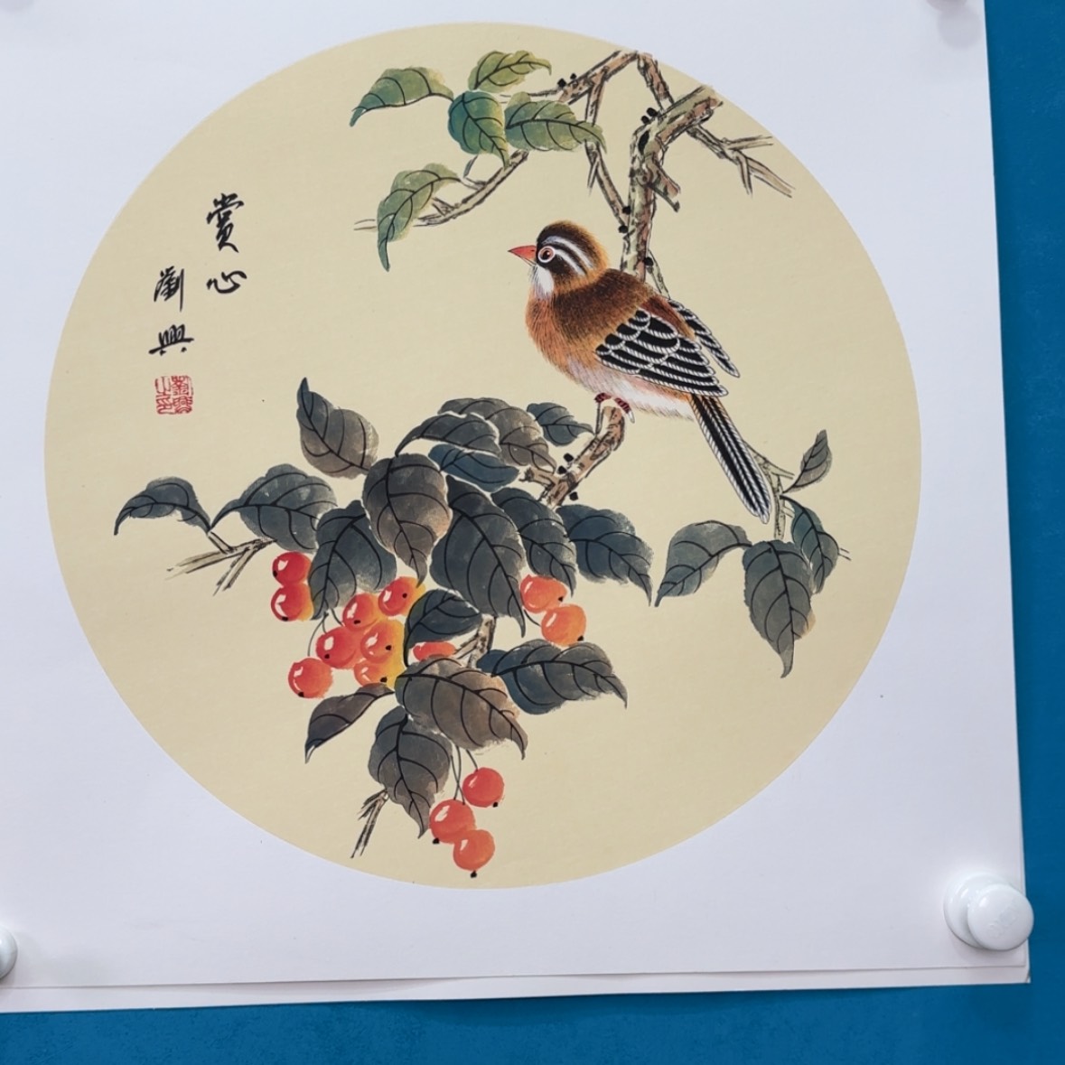 【闪购商品】绘画抖音