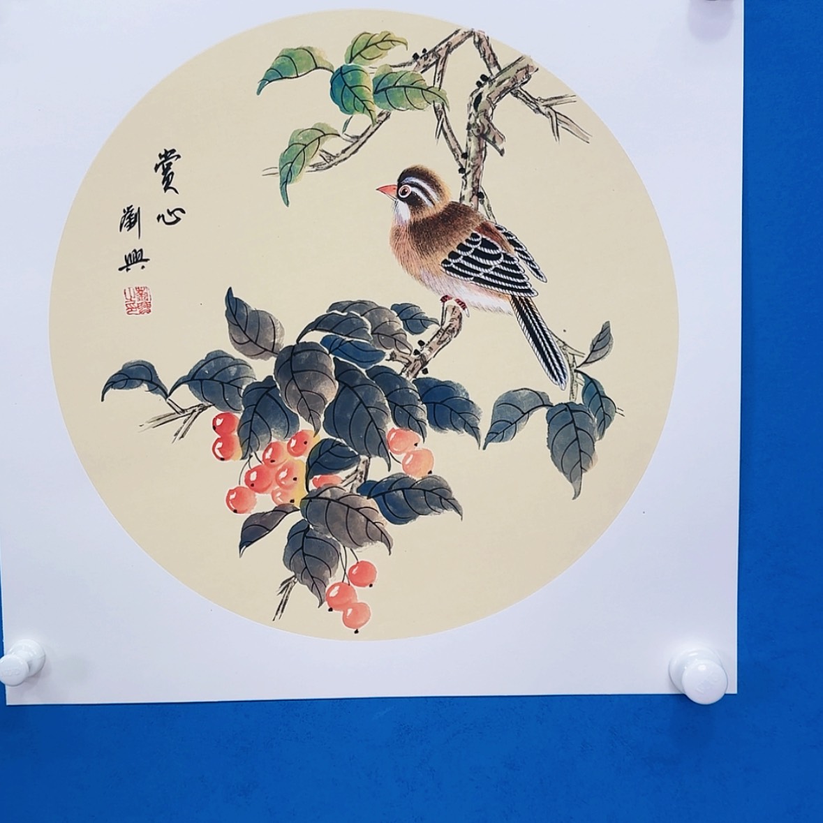 【闪购商品】绘画抖音