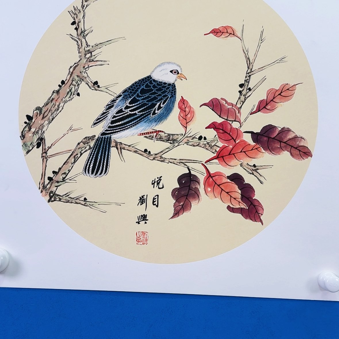 【闪购商品】绘画抖音