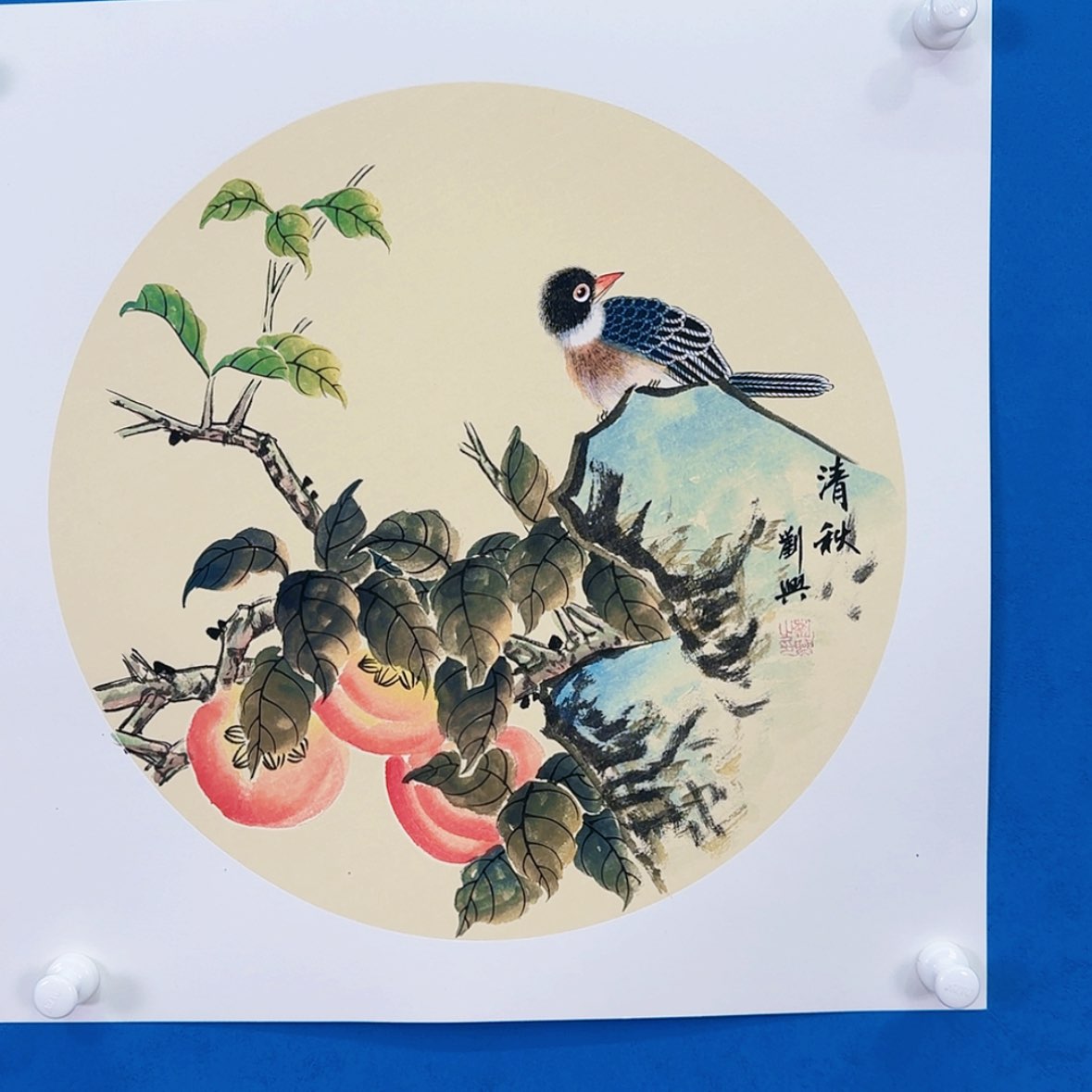 【闪购商品】绘画抖音