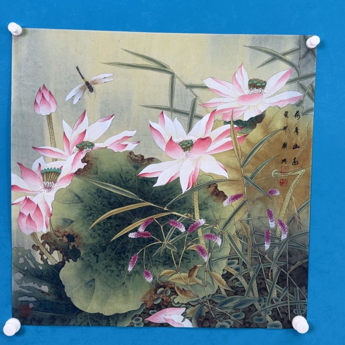 【闪购商品】绘画抖音