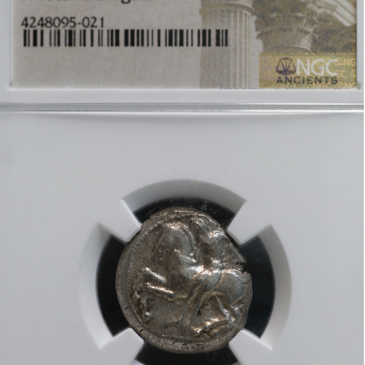 古希腊币骑士羊银币