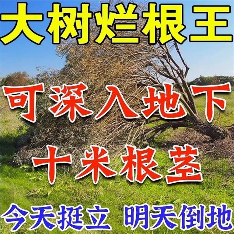 大树专用神器一滴树死烂根除树根强力除树粉杀树枯死烂树根腐蚀剂