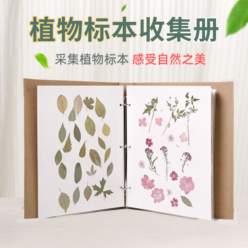 小学生植物标本收集册可粘贴树叶保存袋干花标本收集袋活页覆膜册
