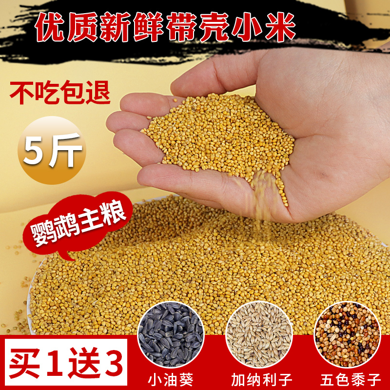花卷宝宝鹦鹉饲料鸟粮新带壳黄谷子小米鸟食牡丹虎皮玄凤文鸟5斤