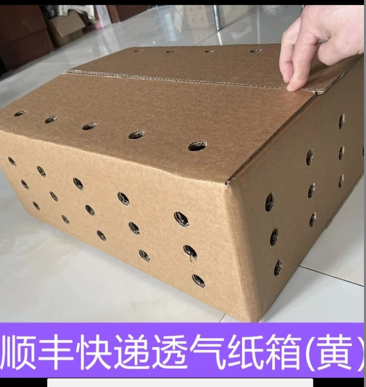 三黄机快递专用免打孔打包加厚保温纸箱创意