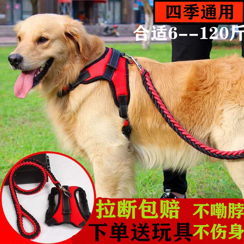 金毛狗链子胸背带狗狗牵引绳大型犬牵狗绳子中型犬拉布拉多拴狗绳
