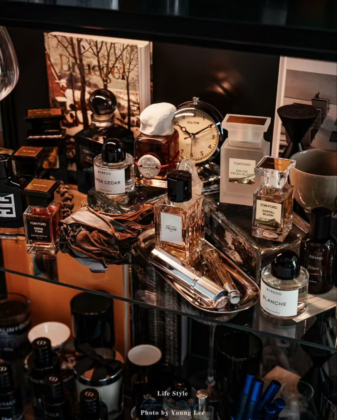 千金 绅士好香水合集