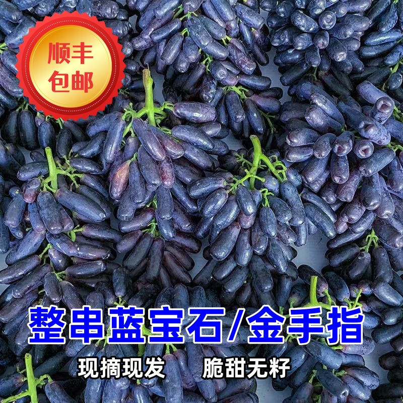 【顺丰冷链】蓝宝石葡萄新鲜头茬金手指美人指无籽葡萄应当季水果