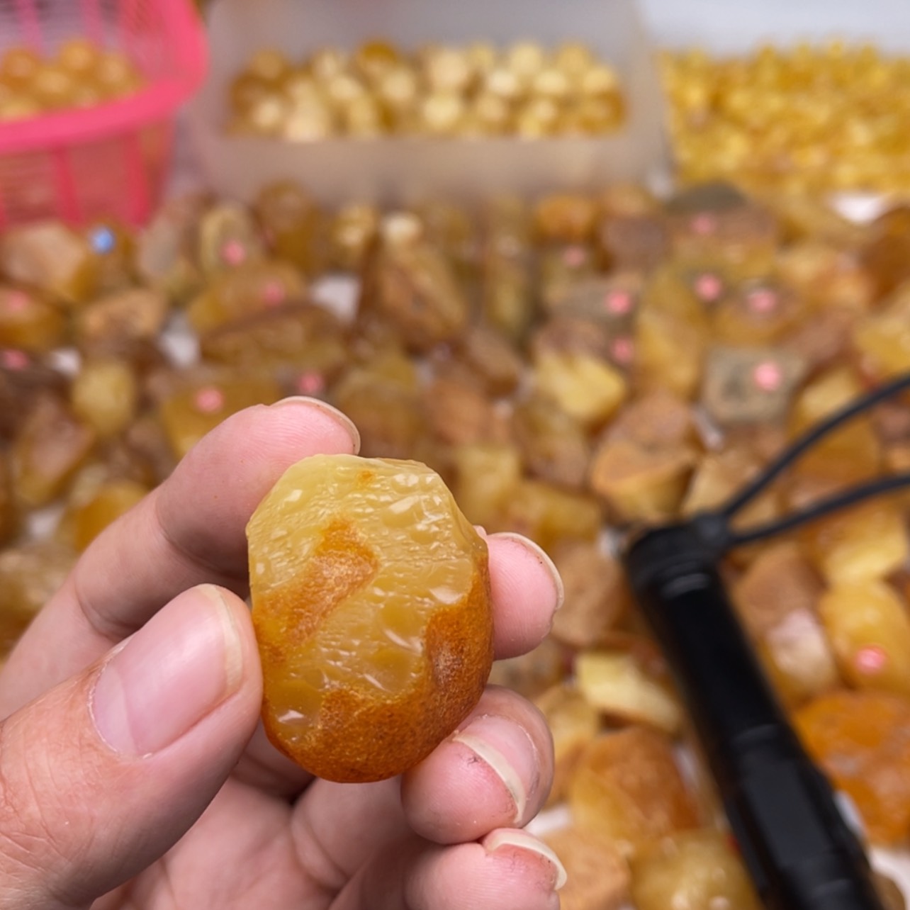 【闪购商品】定制琥珀未镶嵌