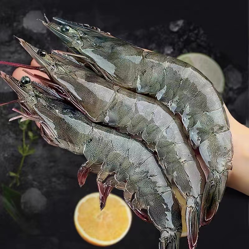 1肆生鲜海水虾20-30大规格净重3.3斤新鲜肉质紧实青岛发货