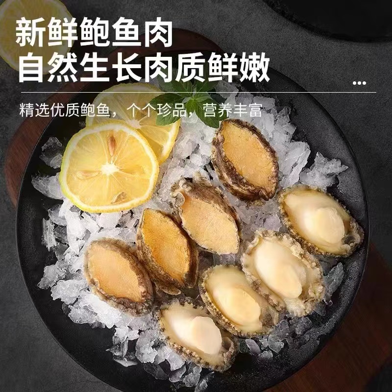 1肆生鲜大号鲍鱼肉新鲜无冰衣到手约10只净重520g营养不泡药