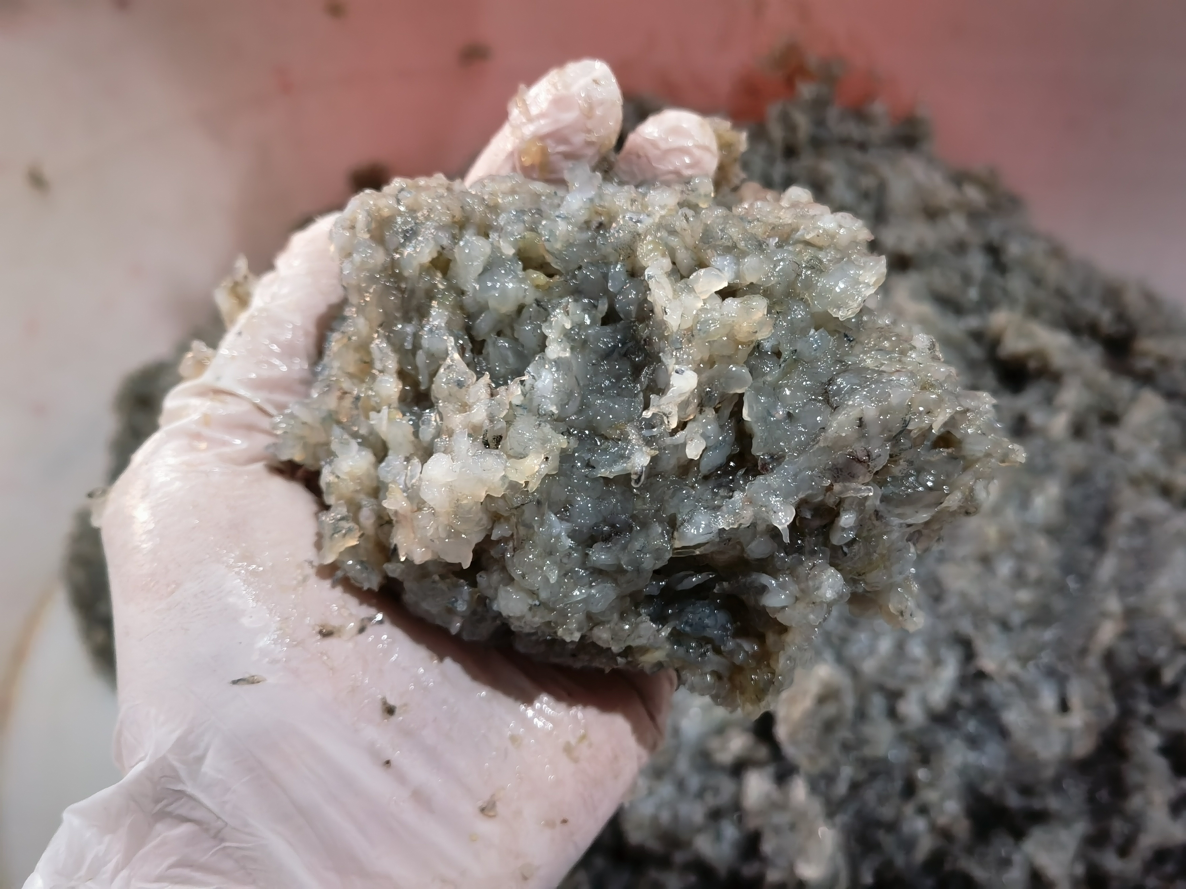 聚渔坊【成品虾肉】170克一包（5包装 ）