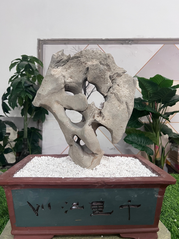 奇石直播间价格商品勿拍