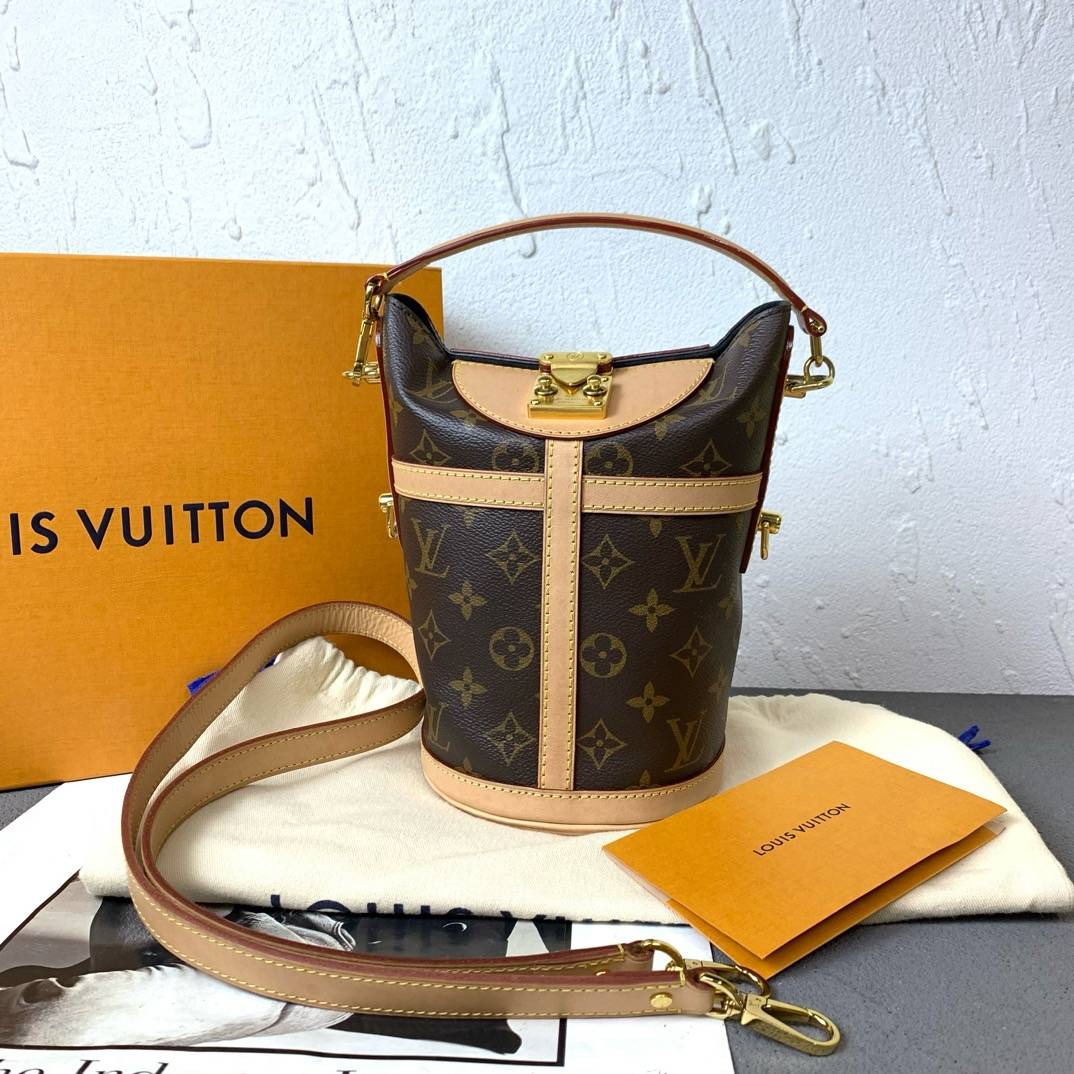 99新 LouisVuitton/路易威登 安琳老花薯条包