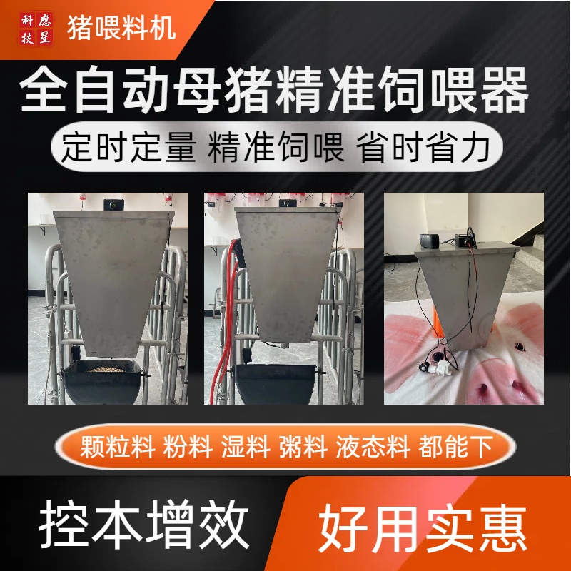 母猪液态料粥料器定时定量下料全自动调节方便好用养猪设备