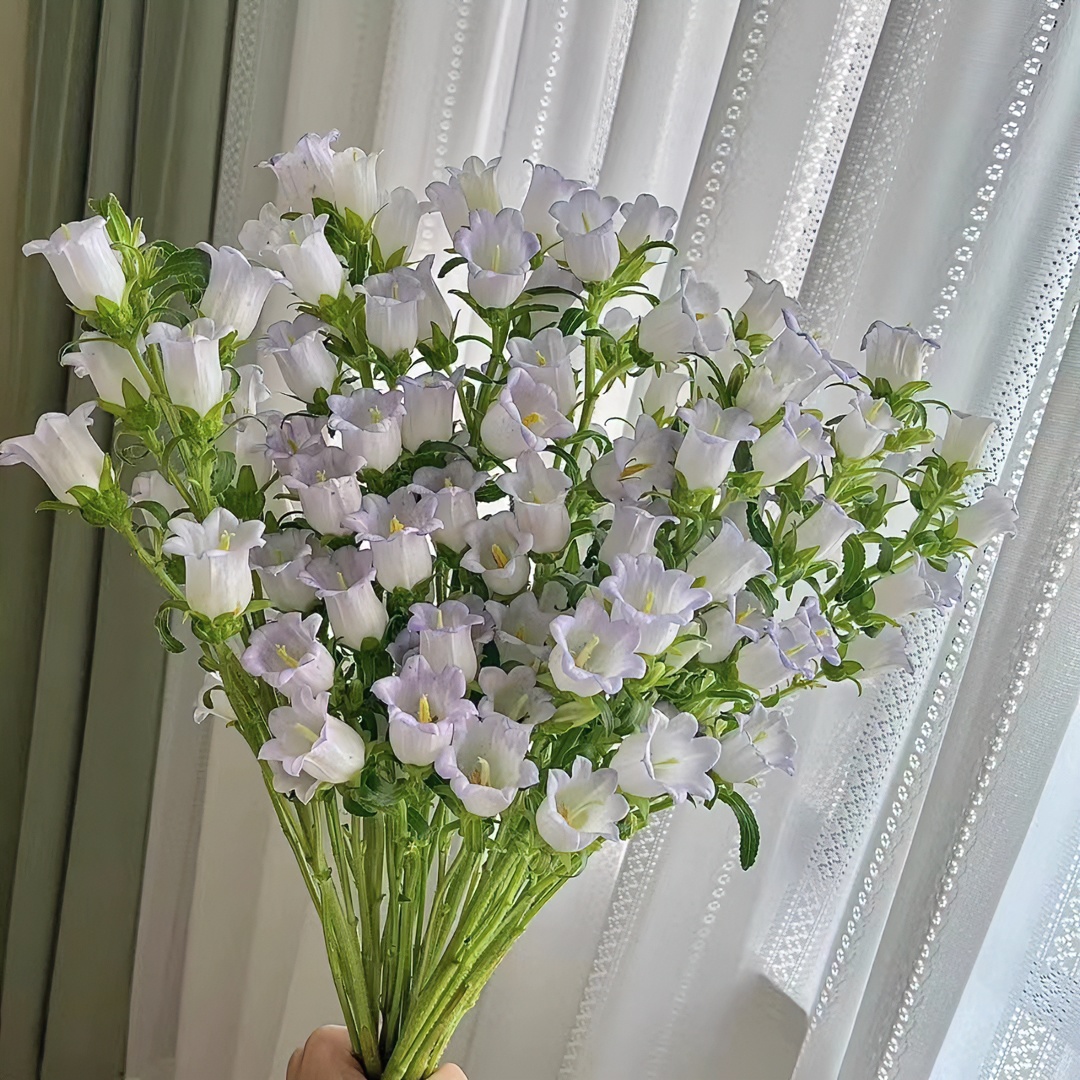 3扎风铃花  办公室插花 任意两单顺丰冷链包邮云南鲜花