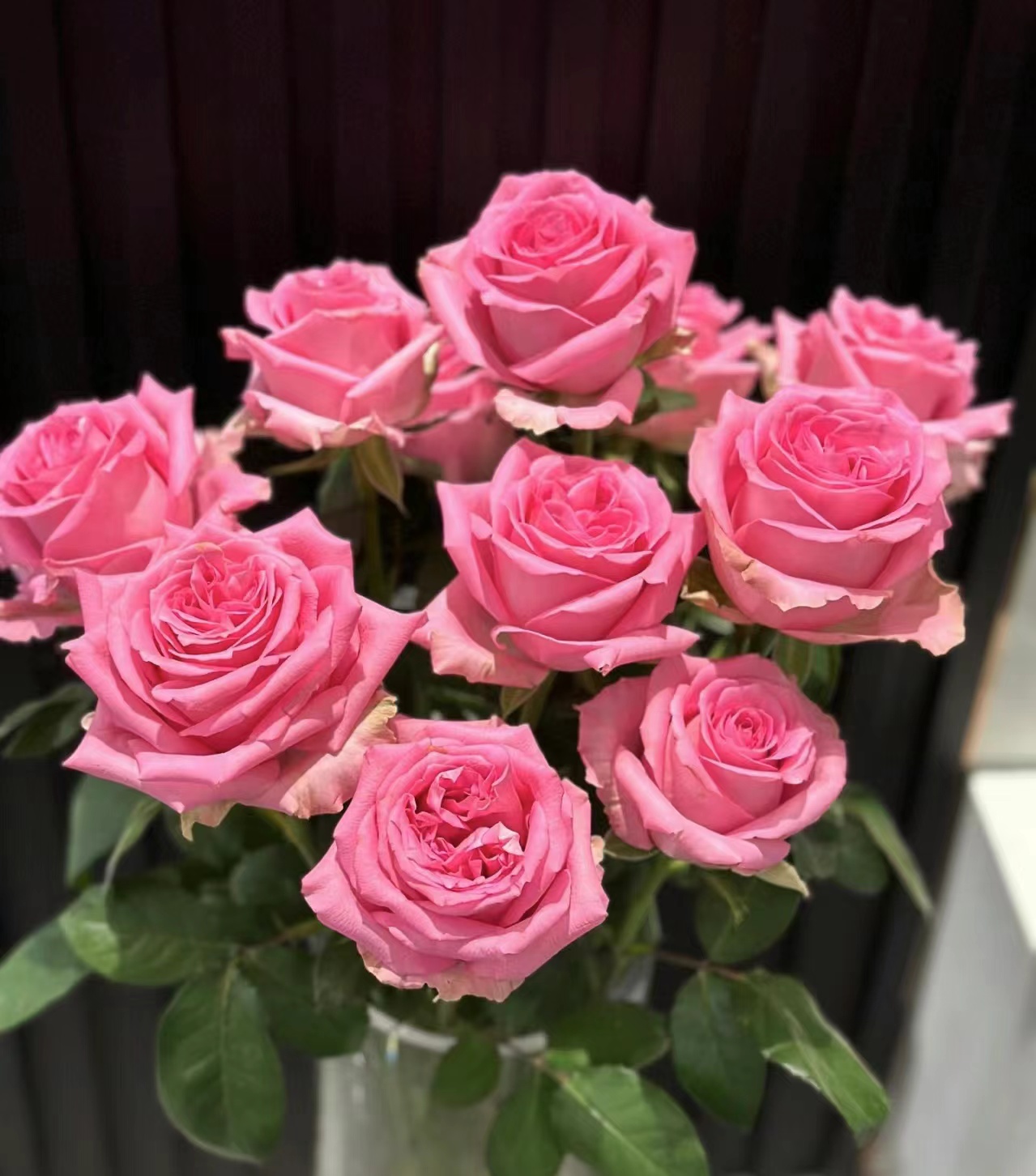 10枝苏醒单头玫瑰 【两单顺丰冷链或京东快递】云南鲜花