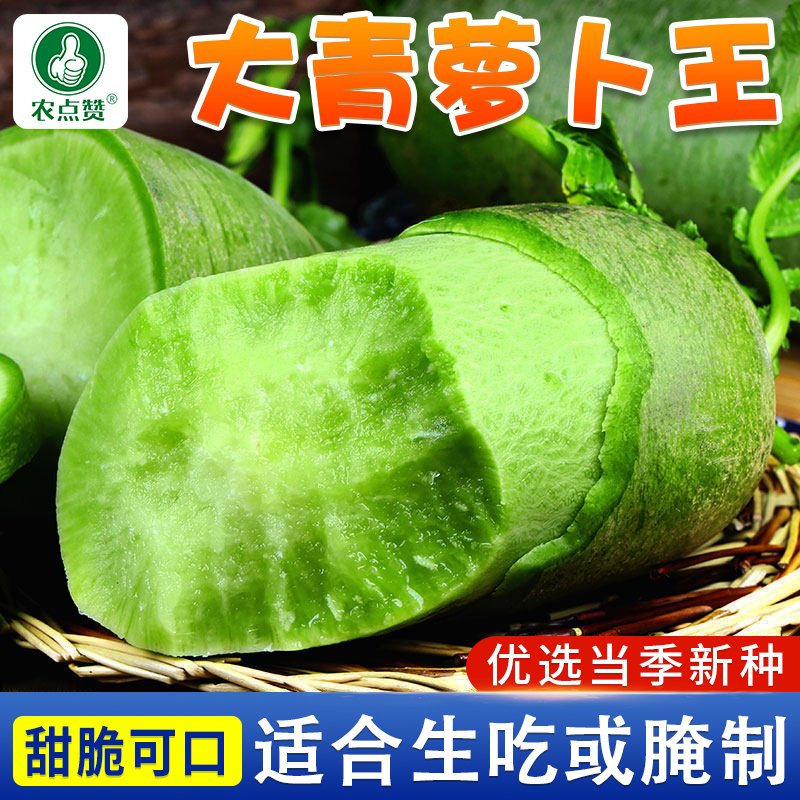 【9.9元3包 拍2单发8包】大青萝卜王种子 青皮白肉秋季耐热蔬菜籽