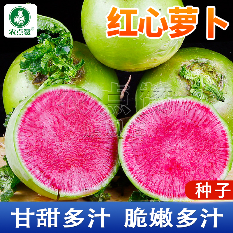 心里美红心萝卜四季秋季蔬菜种子田脆不辣家庭种植阳台盆栽蔬菜