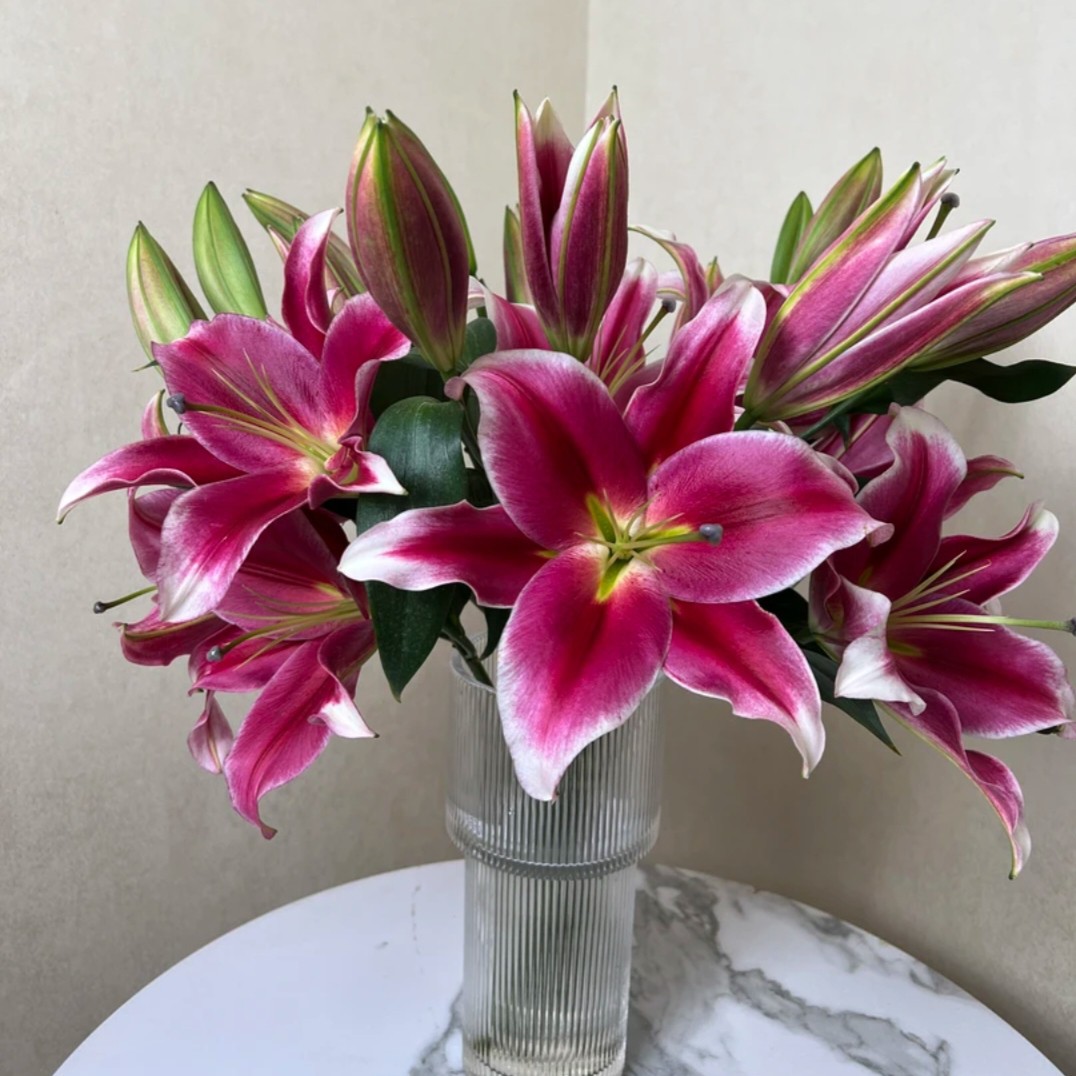 【云霄花卉】【红福香水百合】云南基地直发【任意两单顺丰冷链包邮】