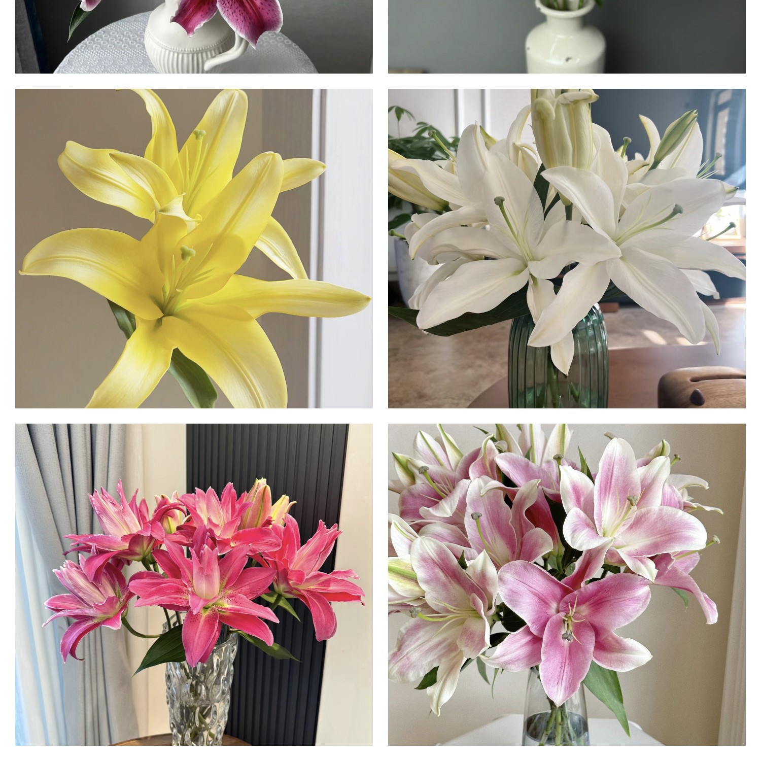 【云霄花卉】【惊喜混装百合】浪漫满屋【任意两单顺丰冷链包邮】