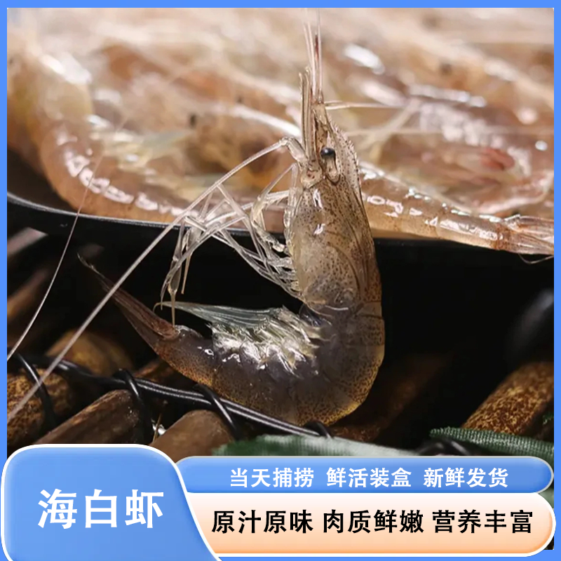 海水小白虾 210-240条/斤 新鲜白米虾鲜香美味速冻连云港冷链发货