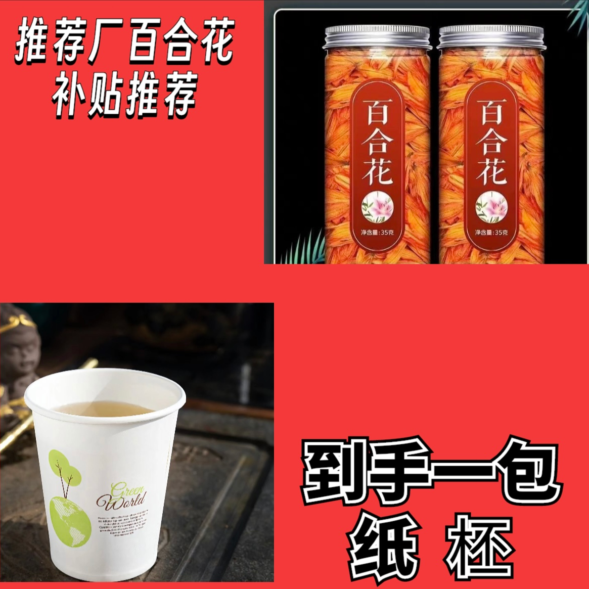 【到手一包50个，限购三单】<补贴厂百合花茶养生茶补贴提供