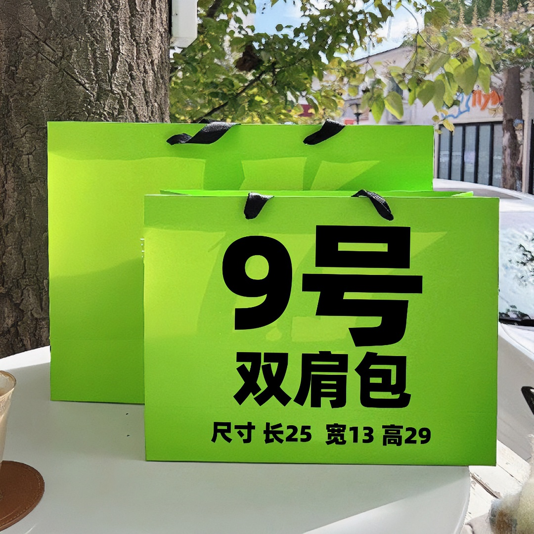 9号】2023网红休闲轻奢双肩横拉背包301 时尚百搭